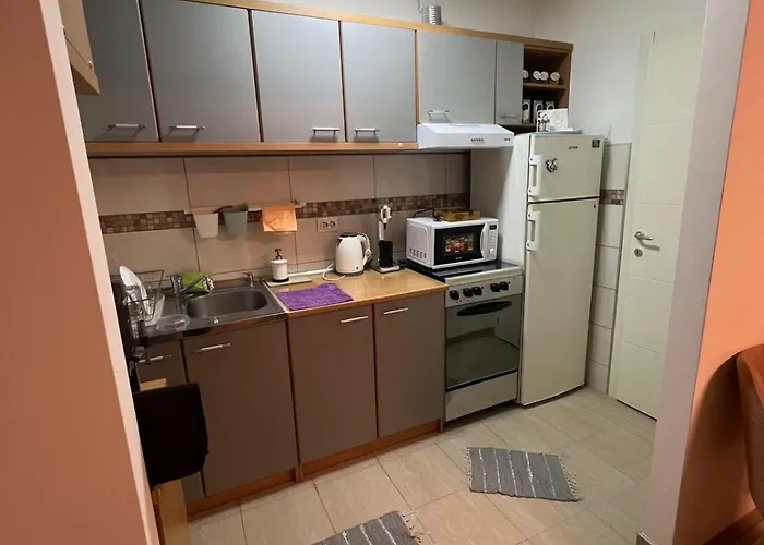 Stan U Centru Grada شقة Ni